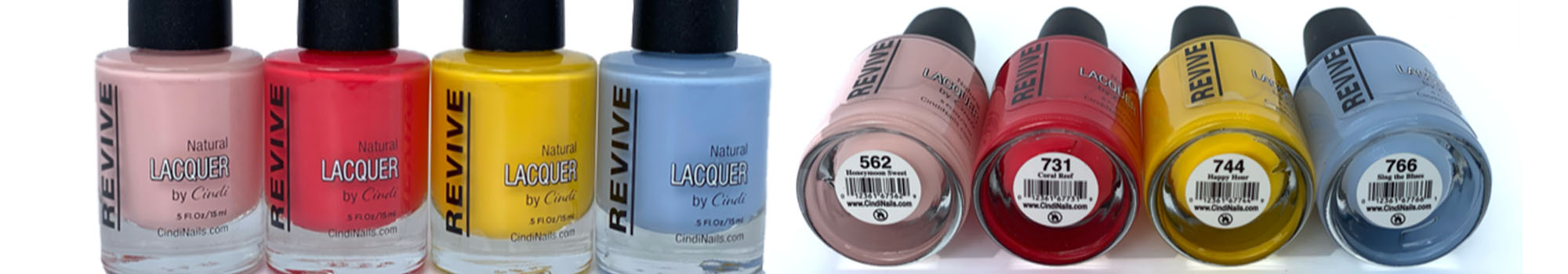 Summer Special Offers